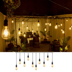 festoon pendant light