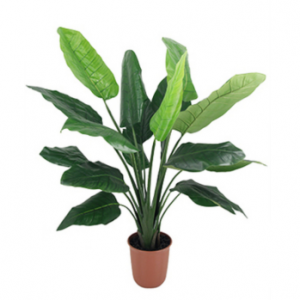 Artificial Bird of Paradise Plant