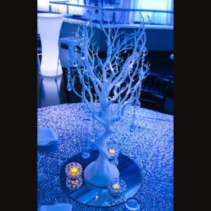 Manzanita Centrepiece