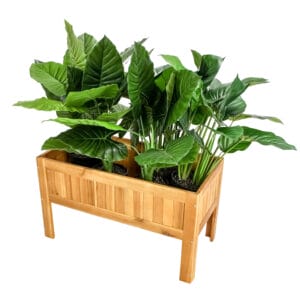 Planter Boxes