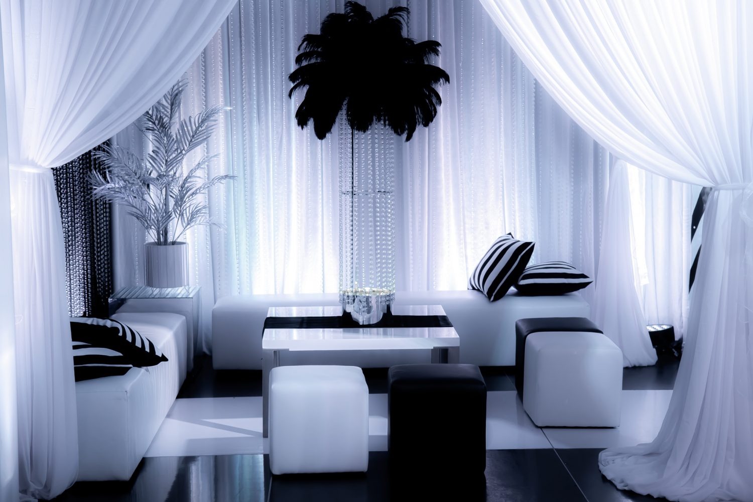 black & white themed event chiffon draping, lounge furniture and feather centrepiece