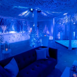 winter wonderland