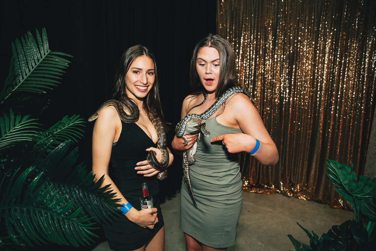 snake and croc handling at a jungle 18th party