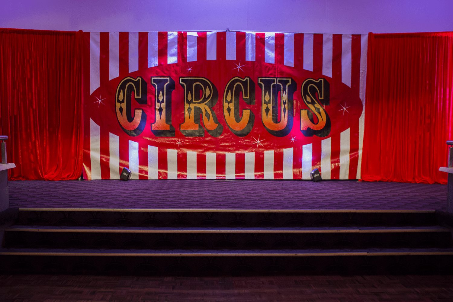 Large Backdrop - Circus