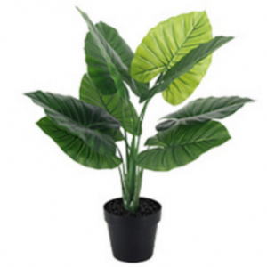 Artificial Deluxe Taro Leaf. Add some life and greenery to your event space with this large-sized artificial leafy potted plant