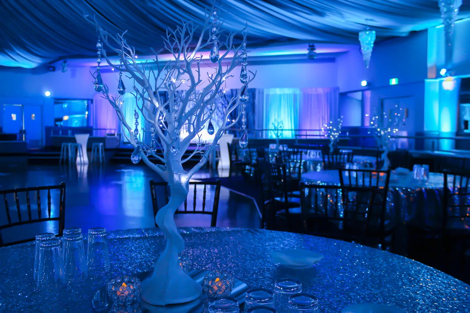 Manzanita Tree Hire Feel Good Events Melbourne