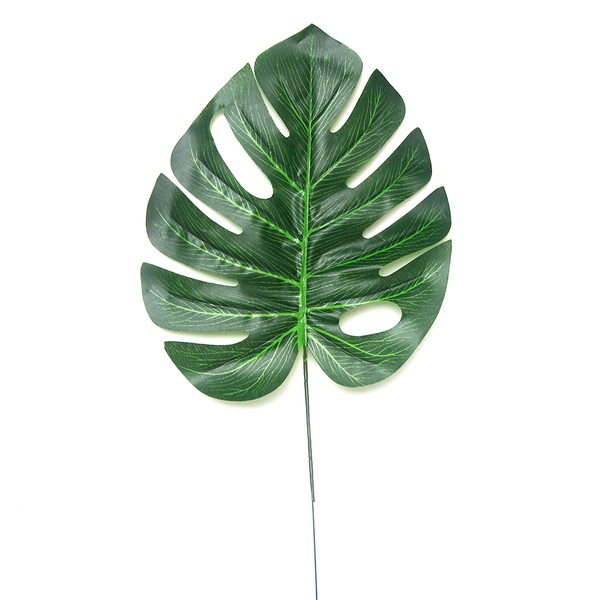 Tropical Palm Leaf