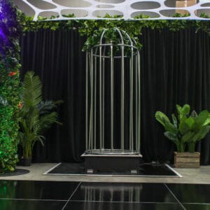 dance cage hire melbourne in jungle theme