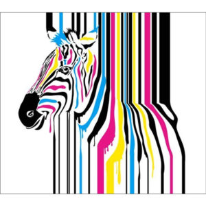 Standard Coloured Zebra Backdrop Hire Melbourne