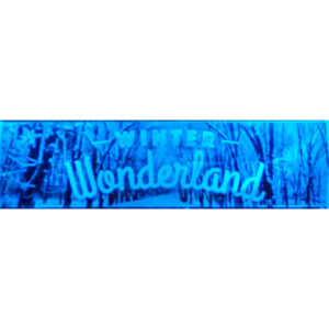 Dark Winter Wonderland Themed Entrance Banner Hire Melbourne