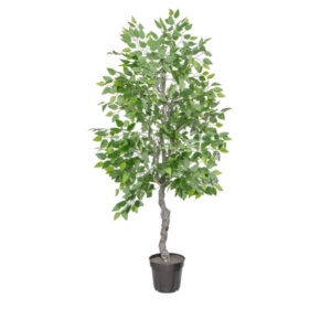 Ficus tree plant, Artificial plant for hire, prop for hire