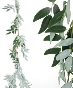 Eucalyptus Leaf Garland