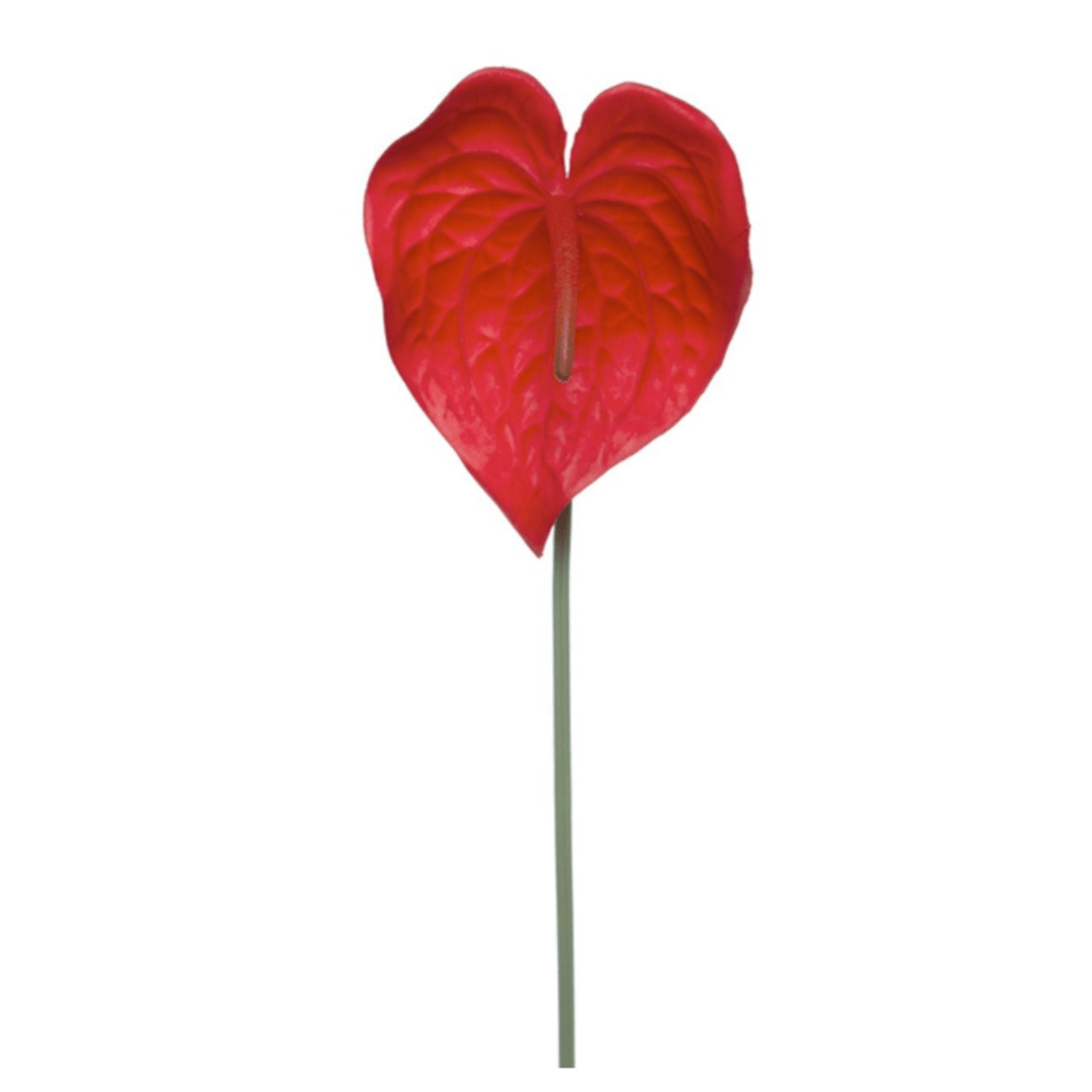 Artificial Anthurium Hire Feel Good Events Melbourne