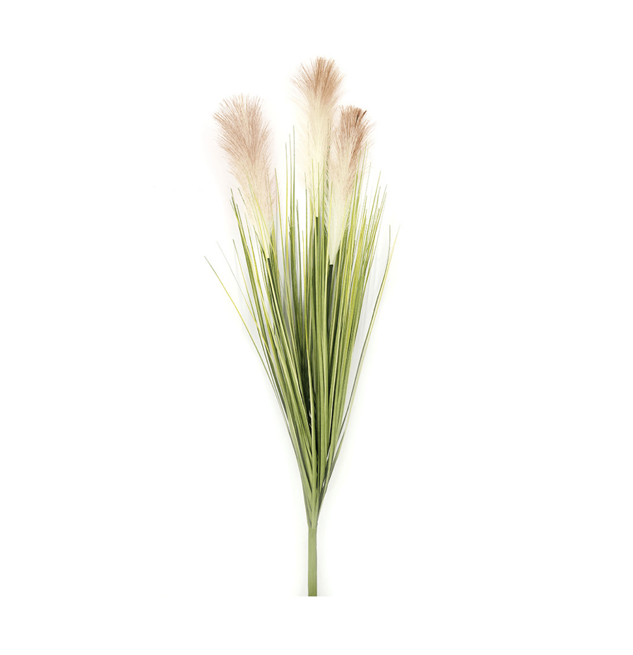 Pampas Grass l Hire Feel Good Events Melbourne
