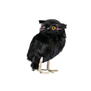small-black-owl-prop-hire-melbourne