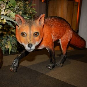Animal Props - Fox