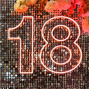 18 number neon sign