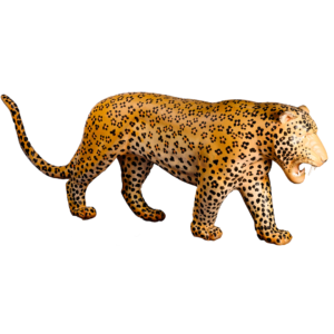 Cheetah prop