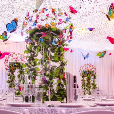 Butterfly party theme setup