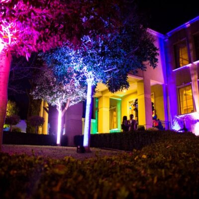 Outdoor Uplighting