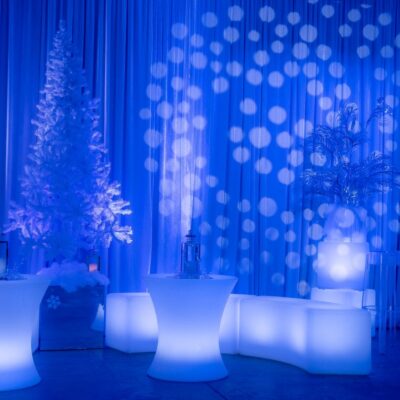 Winter Wonderland Theme (56)